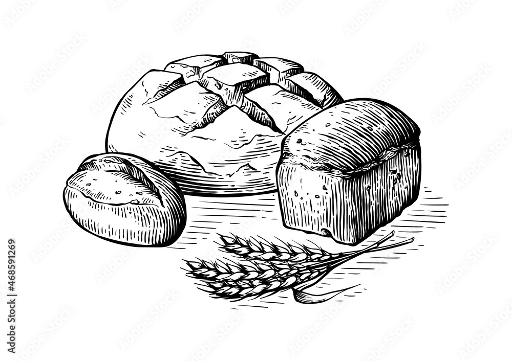 Bread vector hand drawn set illustration. Other types of wheat, flour fresh bread. Gluten food