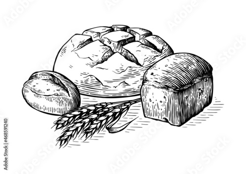 Bread vector hand drawn set illustration. Other types of wheat, flour fresh bread. Gluten food bakery engraved collection