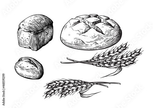 Bread vector hand drawn set illustration. Other types of wheat, flour fresh bread. Gluten food bakery engraved collection