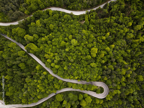 A street in the forest. Somewhere in Südtirol. Mendelpass. Droneshot from a street. 