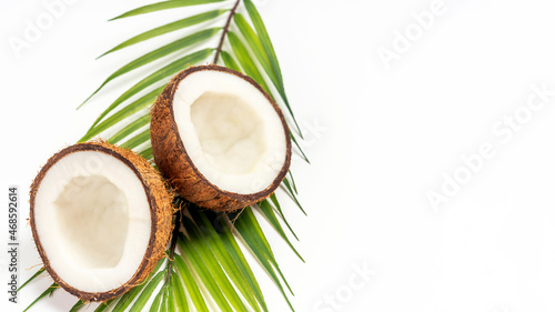 Summer scene with palm leaf and coconut fruits on white background. Copy space for text.