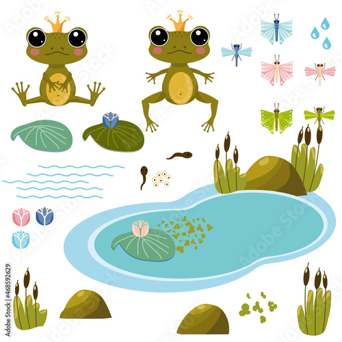 Vector image of a cute frog, caviar, tadpoles, butterflies and dragonflies on the pond. Aquatic plants, water lily, reed, toad, wildlife life vector set. Reed and flowers.