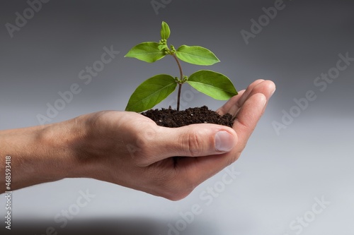 Person holding a seedling in soil