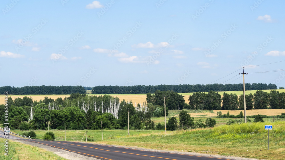 Green and yellow fields with trees and bushes against a large blue sky on a sunny day. Wide view of the countryside. Natural background of hills and copses, rare trees on rough terrain, fresh juicy sh Green and yellow fields with trees and bushes against a large blue sky on a sunny day. Wide view of the countryside. Natural background of hills and copses, rare trees on rough terrain, fresh juicy sh