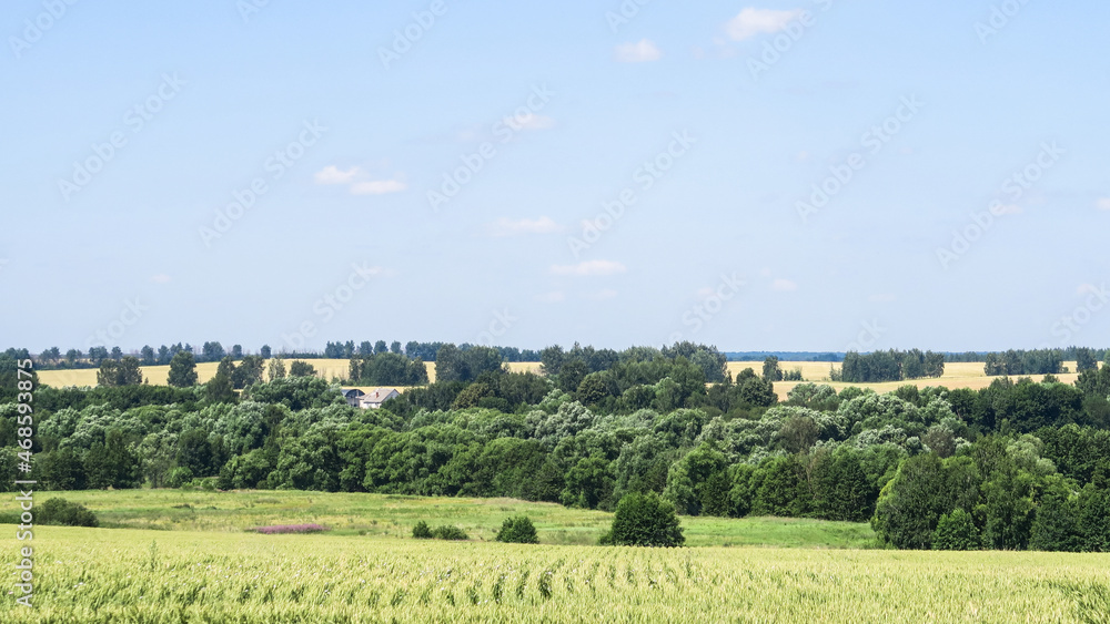 Green and yellow fields with trees and bushes against a large blue sky on a sunny day. Wide view of the countryside. Natural background of hills and copses, rare trees on rough terrain, fresh juicy sh