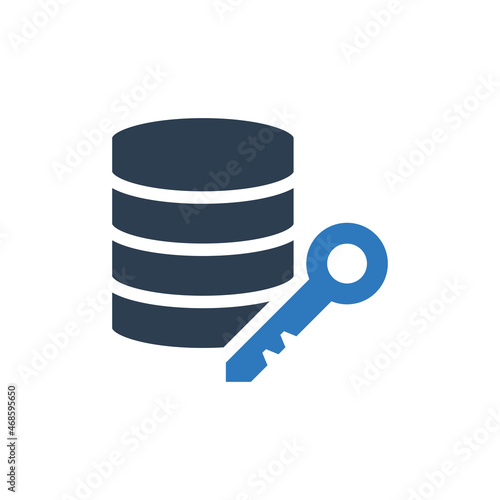 Data Center Key Icon - Server Key Icon