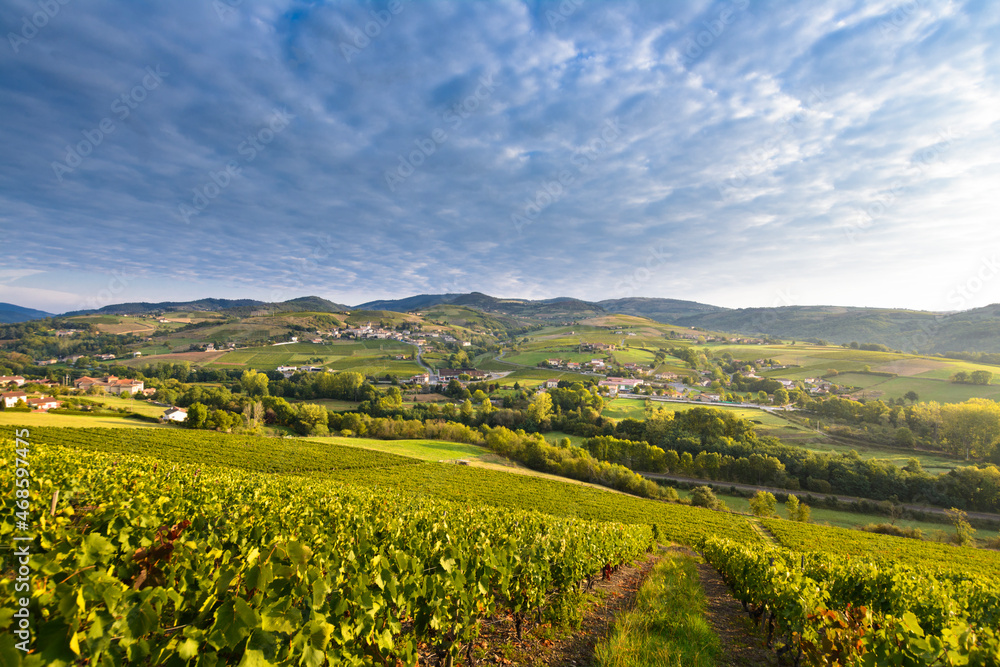 Letra village and vineyards in Beaujolais land