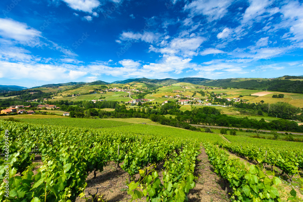 Vineyards of Ternand and Letra villages in Beaujolais