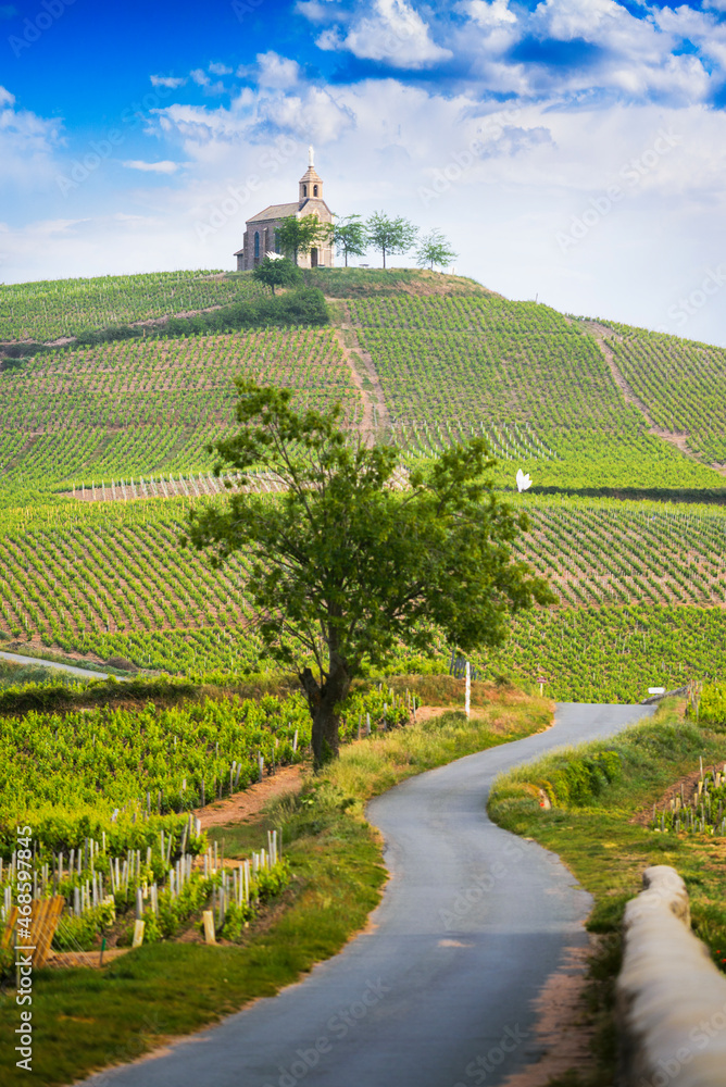 Church of Fleurie village and vineyards of Beaujolais
