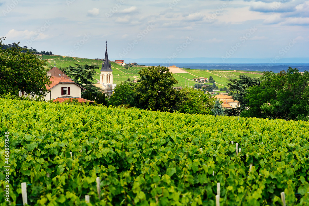 Church of Fleurie village and vineyards, Beaujolais, France