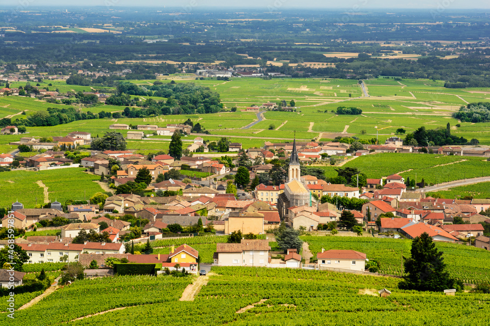 View of Fleurie village and vineyards, Beaujolais, France
