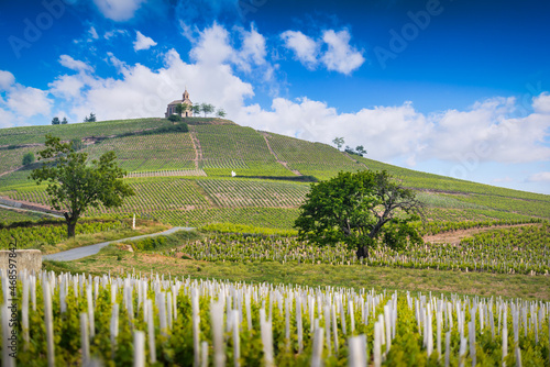 Church of Fleurie village and vineyards of Beaujolais © Gael Fontaine
