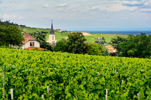 Church of Fleurie village and vineyards, Beaujolais, France photo