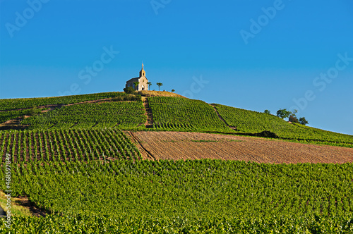 Hill of Fleurie village - Beaujolais photo