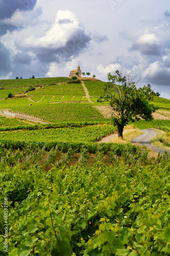 Hill of Fleurie Village with a cloudy sky  Beaujolais  France
