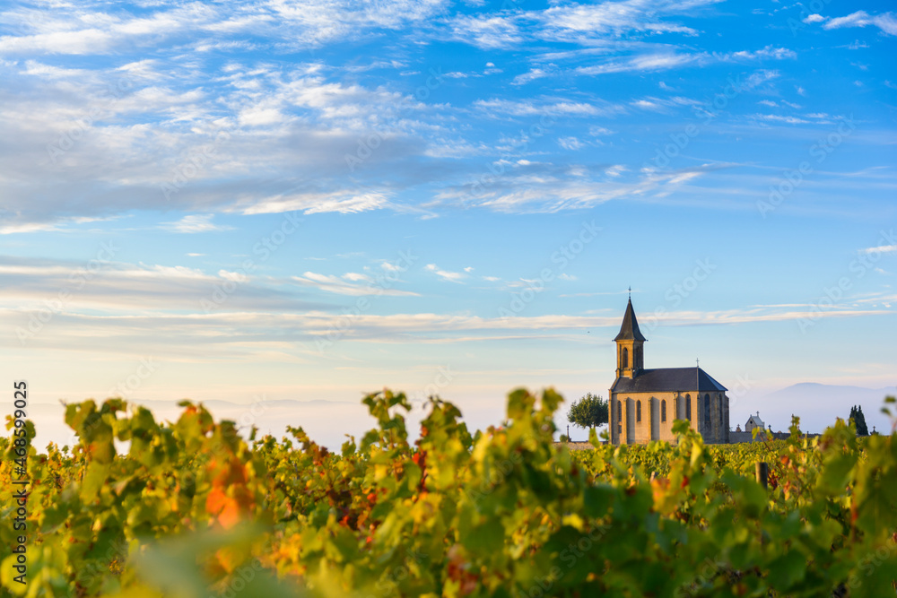 Vineyards and church in Beaujolais with a large blue sky at sunrise