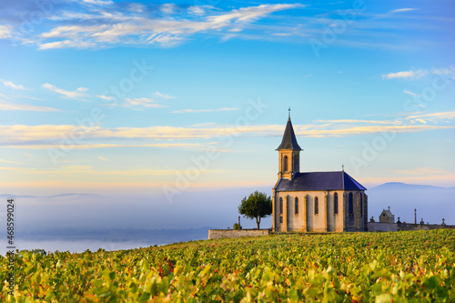 Vineyards and church in Beaujolais with a large blue sky at sunrise photo