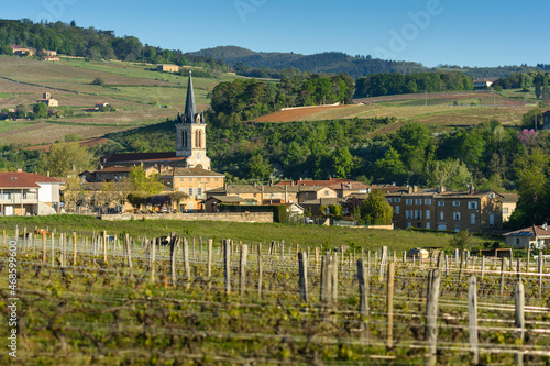 Foto Village of Denice, Beaujolais, France