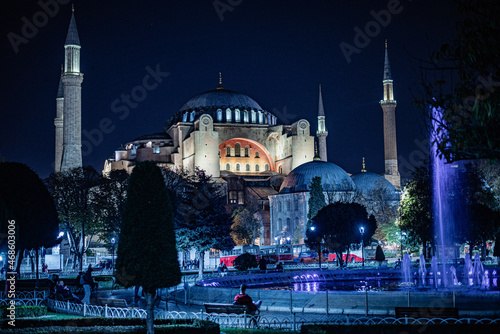 blue mosque at night