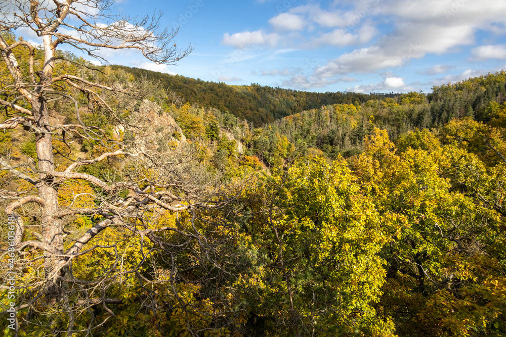 Naklejka premium Autumn landscape with valley and colorful autumn forests