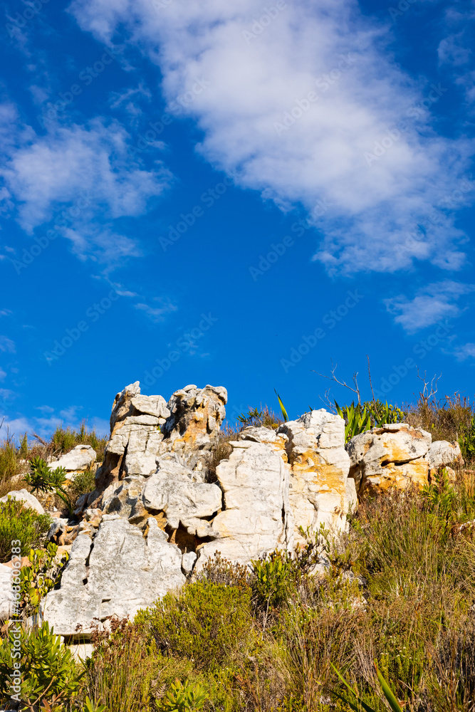 Rugged mountain landscape with fynbos flora in Cape Town Rugged mountain landscape with fynbos flora in Cape Town