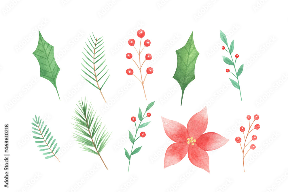 Watercolor Christmas flowers and greenery set isolated on white background. 
