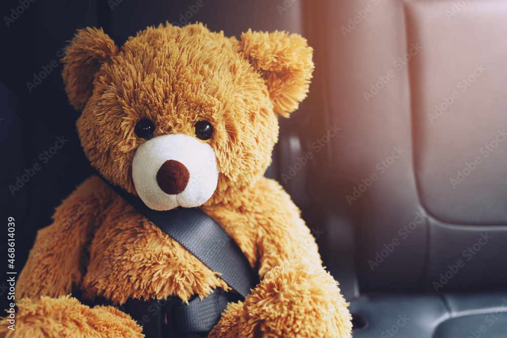 Brown teddy bear wearing car seat belt Brown teddy bear wearing car seat belt