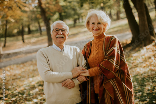 Senior couple embracing in ...