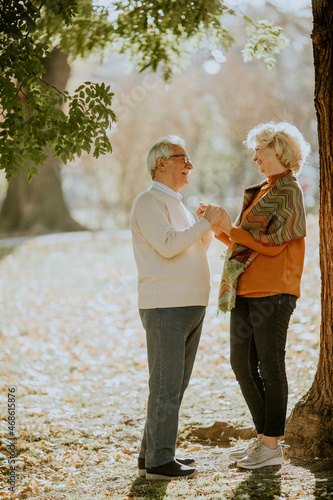 Senior couple embracing in ...