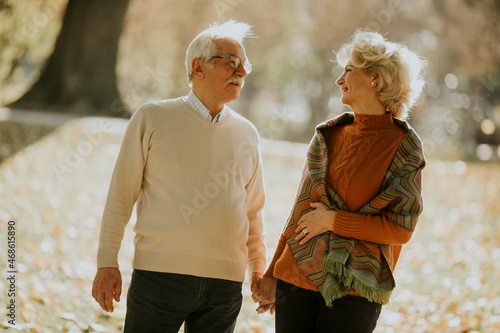 Senior couple walking in au...