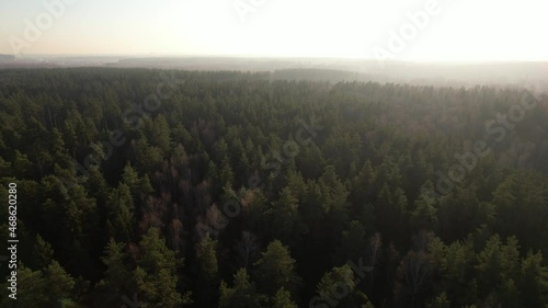 Aerial view of forest in `Russia at fogy autumn sunrise. Drone shot flying over treetops, nature background footage in 4K resolution