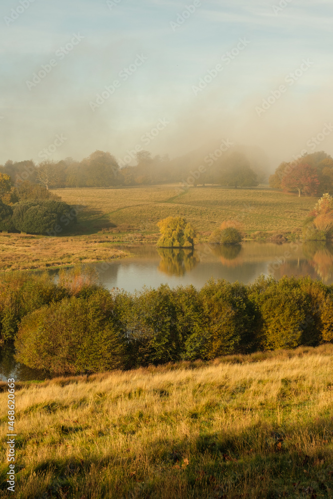 Fototapeta premium West Sussex park,