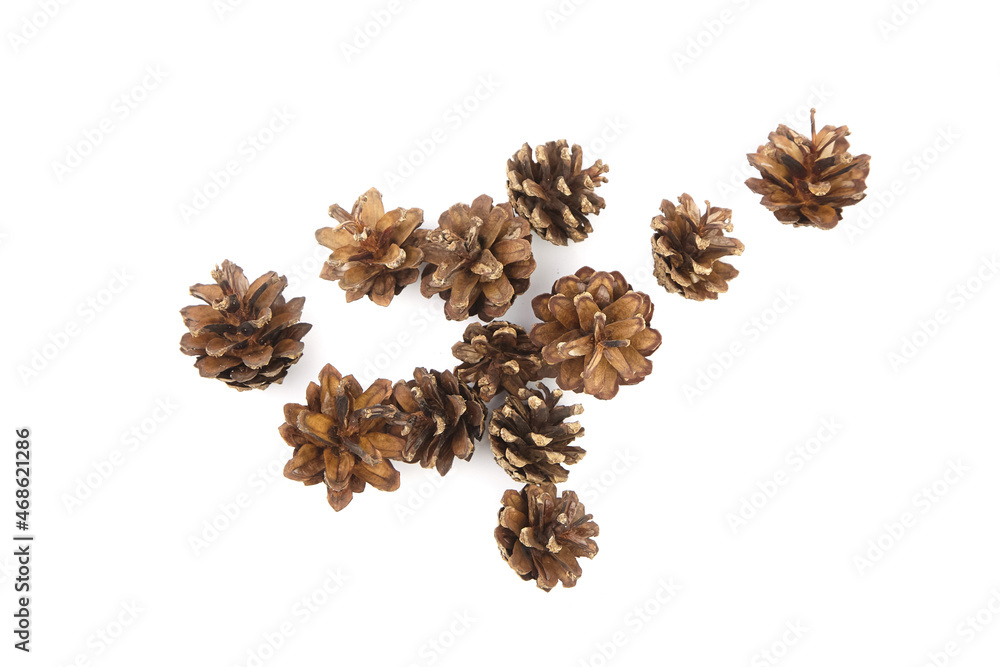 Group of pine cones isolated on white background Group of pine cones isolated on white background