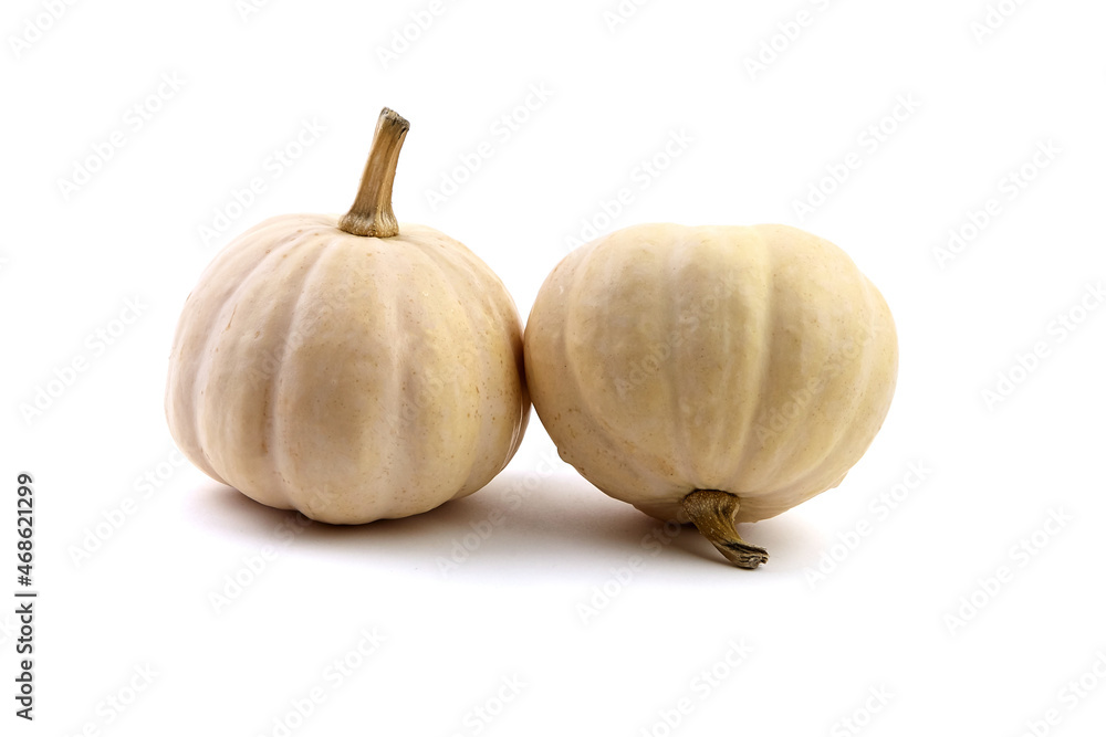 Fototapeta premium Decorative mini pumpkins isolated on white