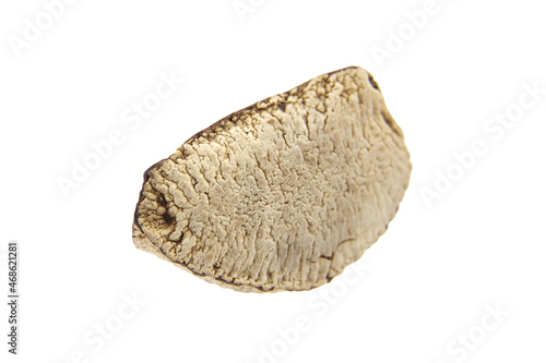 Brazil nut or Bertholletia excelsa seed isolated on white