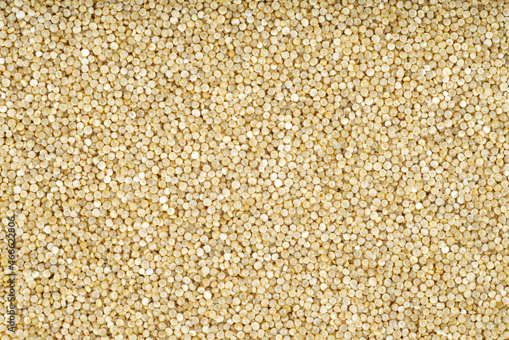 Pile of raw white quinoa seeds. Pile of raw white quinoa seeds.