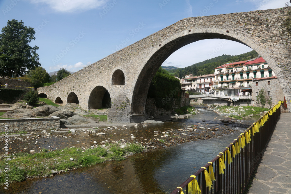 Fototapeta premium camprodon bridge