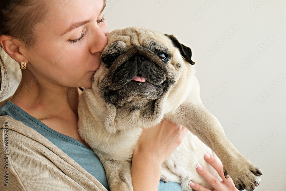 Adorable adult pug in arms of its loving owner. Small adorable doggy with funny wrinkly face with a woman. Close up, copy space, background.