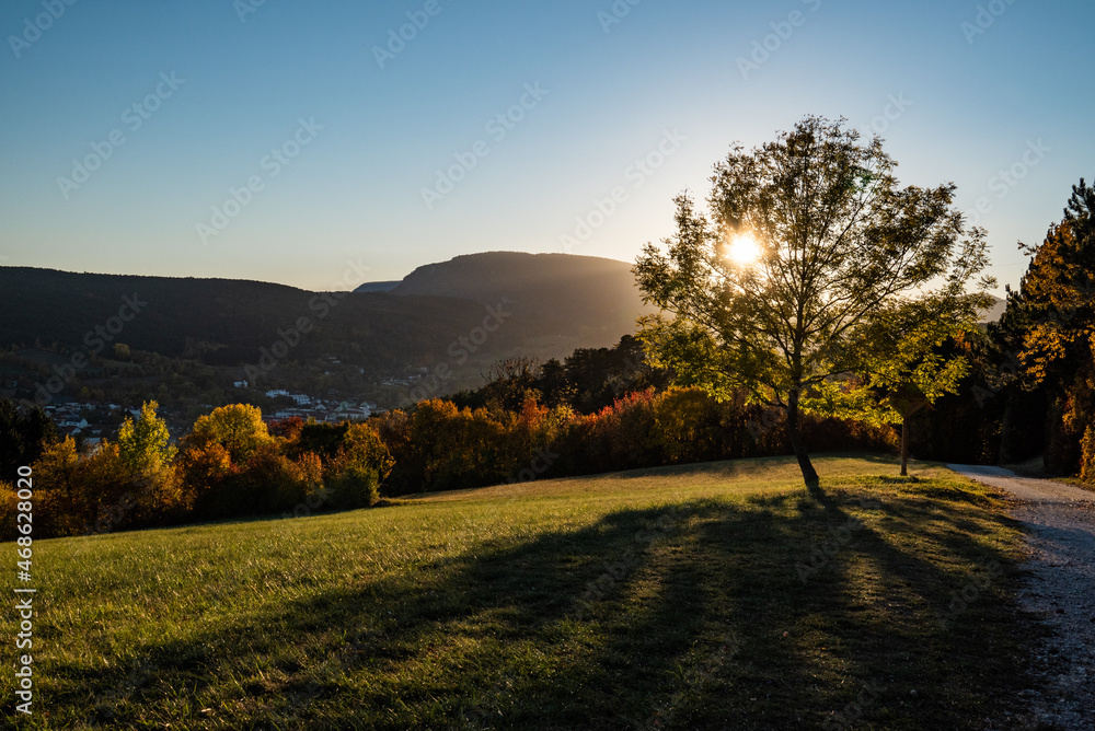 Sonne scheint durch Laubbaum in herbstlich verfärbter Landschaft