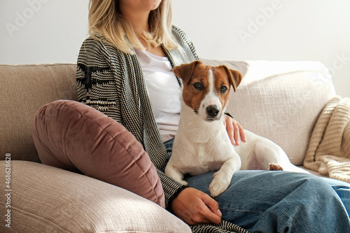Portrait of young beautiful hipster woman playing with her adorable jack russell terrier puppy on the couch. Loving girl with her dog having fun. Background, close up, copy space © Evrymmnt