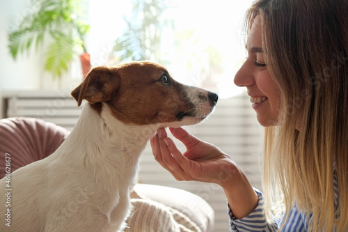 Portrait of young beautiful hipster woman playing with her adorable jack russell terrier puppy on the couch. Loving girl with her dog having fun. Background, close up, copy space photo