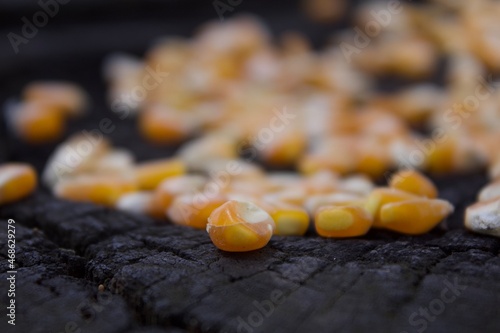 Corn
