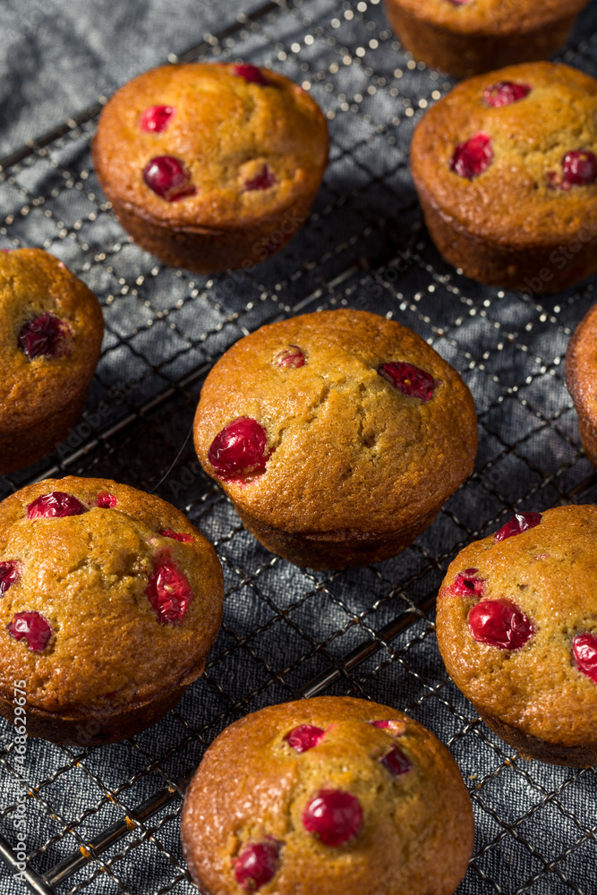 Homemade Breakfast Cranberry Muffins Homemade Breakfast Cranberry Muffins