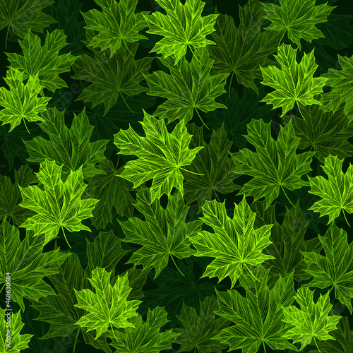 leaves nature tree greens leaf green