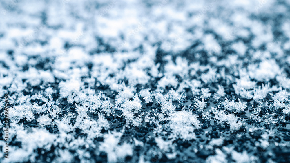 Obraz premium Frosting macro. Cold snow winter background. Blue crystal frozen abstract pattern. White frost ice texture.