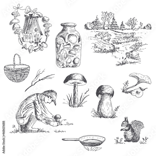 Landscape with a forest, mushrooms, mushroom picker, squirrel. Vector hand drawn illustration.