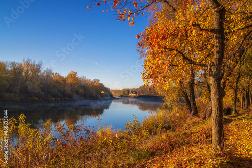 autumn trees on the lake