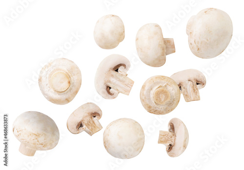 Levitating champignon mushrooms on a white background, cut. Isolated