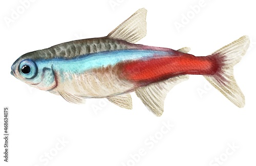 Neon Tetra, watercolor fish, digital painting, animal.