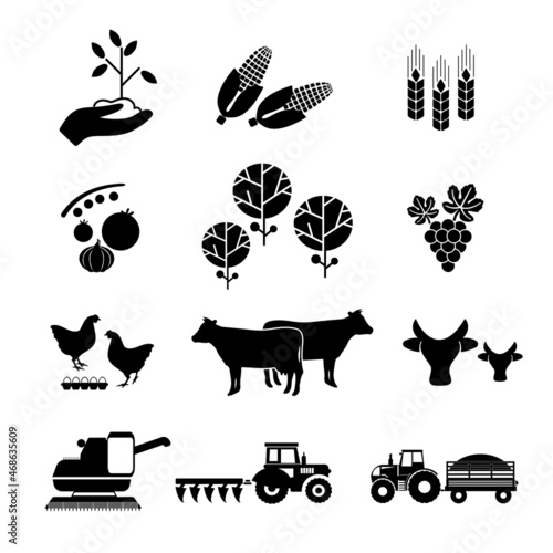 A set of agricultural icons for plant growing, vegetable growing, cattle and poultry